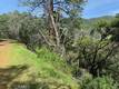 7333 TEHAMA NICE, CA 95464