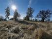 19755 GRANGE MIDDLETOWN, CA 95461