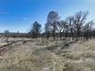 19755 GRANGE MIDDLETOWN, CA 95461