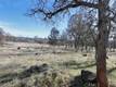 19755 GRANGE MIDDLETOWN, CA 95461