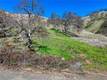 7780 VERNA LUCERNE, CA 95458