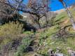 7780 VERNA LUCERNE, CA 95458