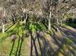 5300 MCKEE KELSEYVILLE, CA 95451