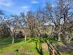 5300 MCKEE KELSEYVILLE, CA 95451
