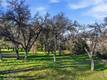 5300 MCKEE KELSEYVILLE, CA 95451