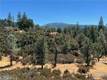 8360 SULPHUR CREEK ROAD LOCH LOMOND, CA 95461