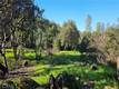 3631 EUREKA AVENUE CLEARLAKE, CA 95422