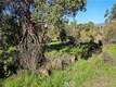 3631 EUREKA AVENUE CLEARLAKE, CA 95422