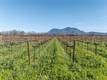 4450 DAVIS DRIVE LAKEPORT, CA 95453