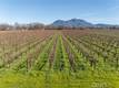 4450 DAVIS DRIVE LAKEPORT, CA 95453