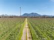 4450 DAVIS DRIVE LAKEPORT, CA 95453