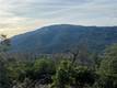 9457 FOX COBB, CA 95426