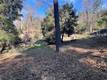 9457 FOX COBB, CA 95426
