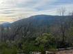 9457 FOX COBB, CA 95426