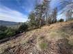 9457 FOX COBB, CA 95426