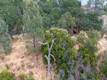 18337 NORTH SHORE DRIVE HIDDEN VALLEY LAKE, CA 95467
