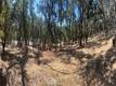 6060 OLD HIGHWAY 53 CLEARLAKE, CA 95422