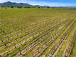 1650 BELL HILL ROAD KELSEYVILLE, CA 95451
