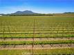 1650 BELL HILL ROAD KELSEYVILLE, CA 95451