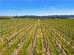 1650 BELL HILL ROAD KELSEYVILLE, CA 95451