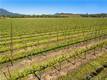 1650 BELL HILL ROAD KELSEYVILLE, CA 95451