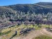 16332 BARTLETT SPRINGS LUCERNE, CA 95458