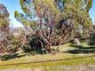 4587 HAWAINA WAY KELSEYVILLE, CA 95451