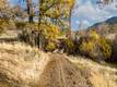 11158 ROCKY CREEK ROAD LOWER LAKE, CA 95457