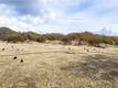 11158 ROCKY CREEK ROAD LOWER LAKE, CA 95457
