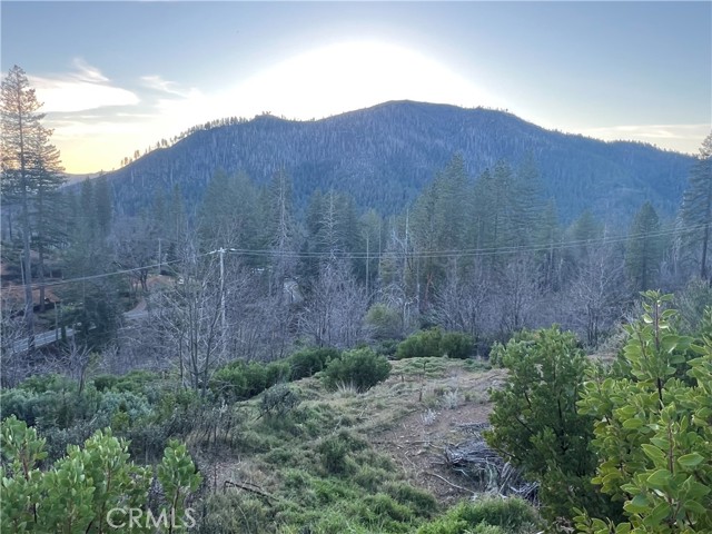 16790 STARVIEW LOOP RD COBB, CA 95426