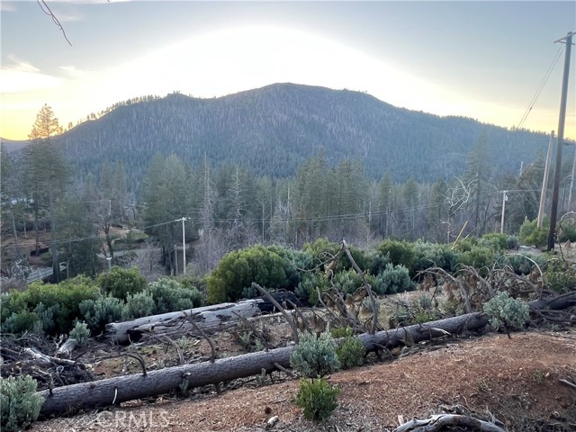 16710 STARVIEW LOOP RD COBB, CA 95426