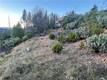16710 STARVIEW LOOP RD COBB, CA 95426