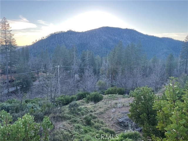 16709 STARVIEW LOOP COBB, CA 95426