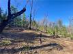 10130 SEIGLER SPRINGS NORTH KELSEYVILLE, CA 95451