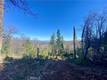 10130 SEIGLER SPRINGS NORTH KELSEYVILLE, CA 95451