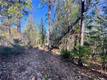 10130 SEIGLER SPRINGS NORTH KELSEYVILLE, CA 95451