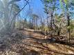 10130 SEIGLER SPRINGS NORTH KELSEYVILLE, CA 95451