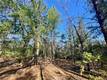 10130 SEIGLER SPRINGS NORTH KELSEYVILLE, CA 95451