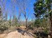 10130 SEIGLER SPRINGS NORTH KELSEYVILLE, CA 95451