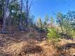 10130 SEIGLER SPRINGS NORTH KELSEYVILLE, CA 95451
