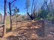 10130 SEIGLER SPRINGS NORTH KELSEYVILLE, CA 95451