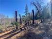 10130 SEIGLER SPRINGS NORTH KELSEYVILLE, CA 95451