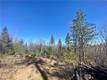 10130 SEIGLER SPRINGS NORTH KELSEYVILLE, CA 95451
