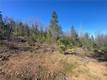 10130 SEIGLER SPRINGS NORTH KELSEYVILLE, CA 95451