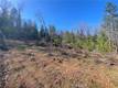 10130 SEIGLER SPRINGS NORTH KELSEYVILLE, CA 95451