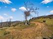 13952 WHITE ROCK CANYON ROAD UPPER LAKE, CA 95485