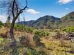 13952 WHITE ROCK CANYON ROAD UPPER LAKE, CA 95485