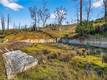 13952 WHITE ROCK CANYON ROAD UPPER LAKE, CA 95485