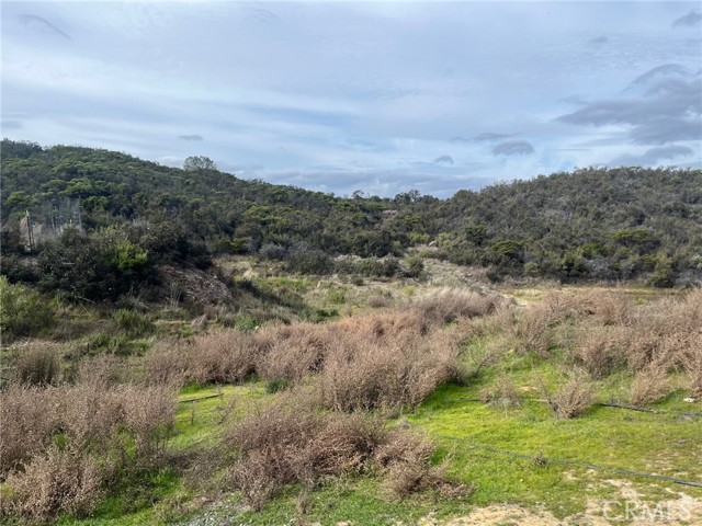 8445 OLD DIRT ROAD KELSEYVILLE, CA 95451