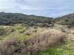 8445 OLD DIRT ROAD KELSEYVILLE, CA 95451